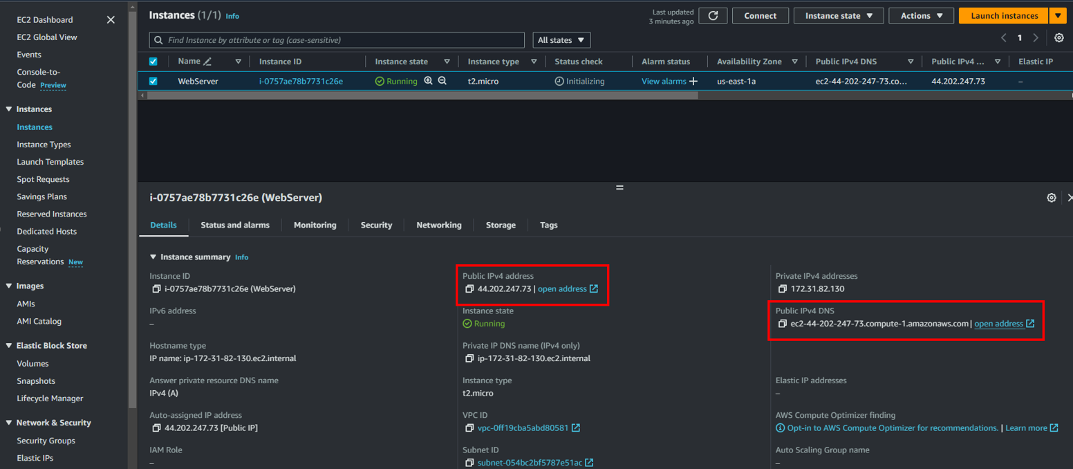 Locating Instance IP
