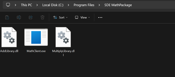 Multiple DLLs Packaged